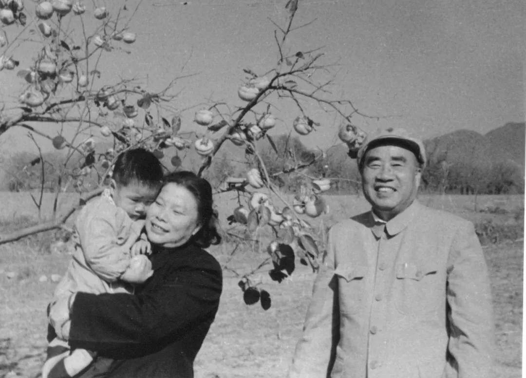 妇联通官网APP下载