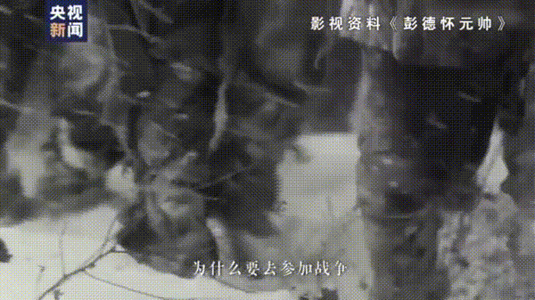 妇联通官网APP下载